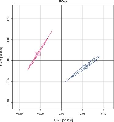 Intercropping Pinto Peanut in Litchi Orchard Effectively Improved Soil Available Potassium Content, Optimized Soil Bacterial Community Structure, and Advanced Bacterial Community Diversity